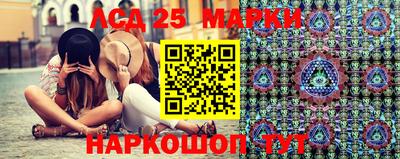 индика Рыбинск