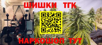 индика Рыбинск