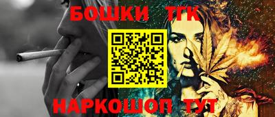 индика Рыбинск
