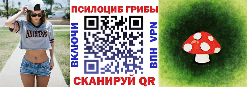Галлюциногенные грибы Psilocybine cubensis  купить  цена  blacksprut tor  Ханты-Мансийск 